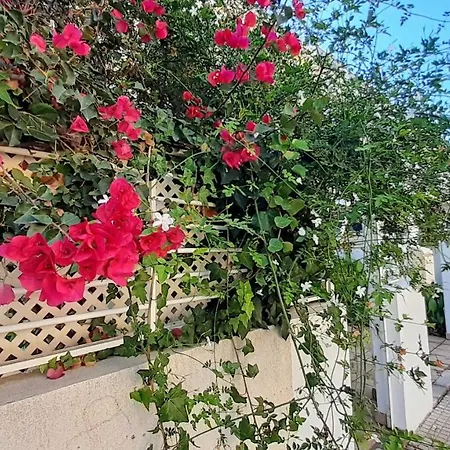 Residencial El L Ullal Ii Alquileres Por Semanas Solo Familias Gandia